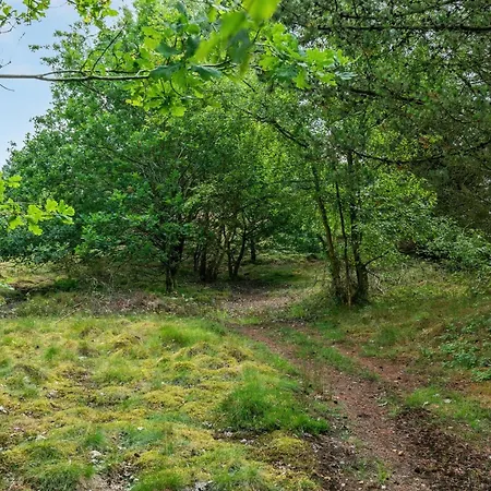 Gwen - 2-7km From The Sea By Interhome *